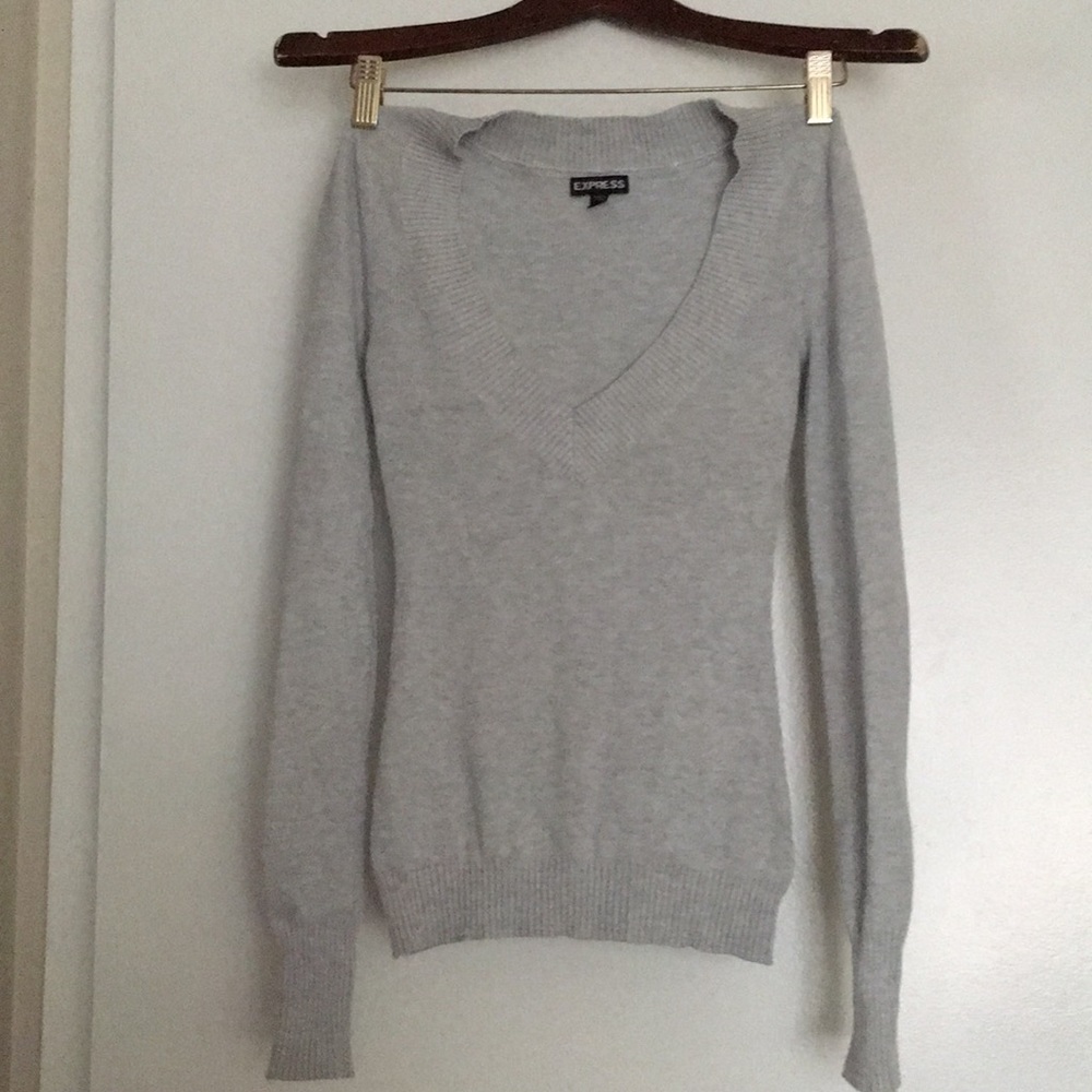 Express v-neck sweater
